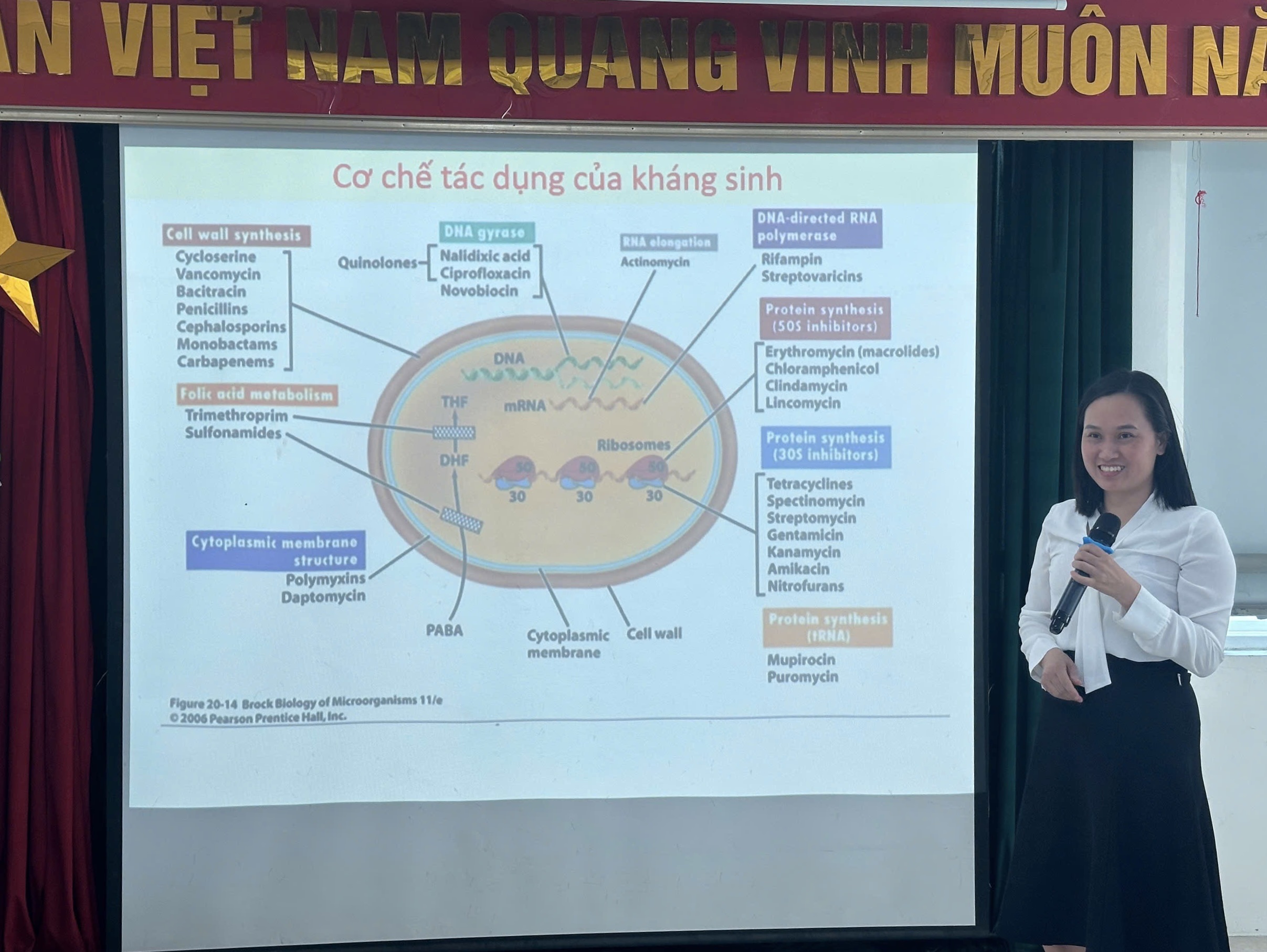 Bệnh viện Phổi Hải Dương tổ chức Hội thảo khoa học về kháng sinh